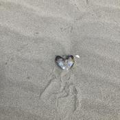 Podcast The healing space