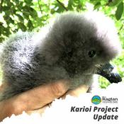 Podcast The Karioi Project