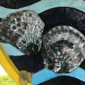 Podcast The Last Freedom