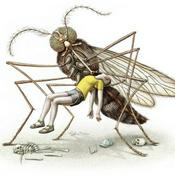 Podcast The Mosquito