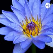 Podcast The Naija Londoner Show