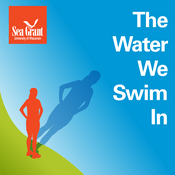 Podcast The Water We Swim In