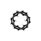 Podcast The Well Podcast