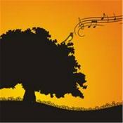 Podcast The Wombman's Song Community Experience