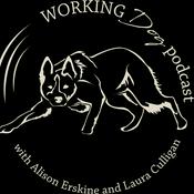Podcast The Working Dog Podcast