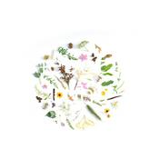 Podcast ThebetaAlpha