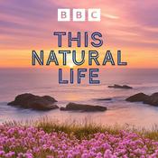 Podcast This Natural Life