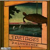 Podcast Tortoises by D. H. Lawrence
