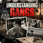 Podcast UNDERSTANDING GANGS
