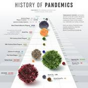 Podcast What The Pandemics