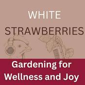 Podcast Gardening for Wellness & Joy: White Strawberries