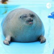 Podcast Why is time management important for freshmen college students?