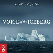 Podcast Wild Sounds: Voice of the Iceberg