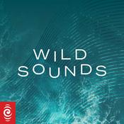Podcast Wild Sounds