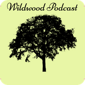 Podcast Wildwood Assembly Podcast