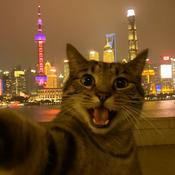 元意的职场英语笔记