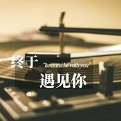 Podcast 这首歌，等你来听（终于遇见你）