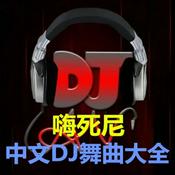 Podcast 中文DJ舞曲大全