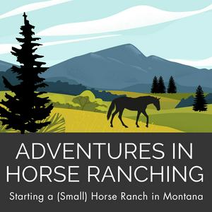 Adventures In Horse Ranching - Starting a (Small) Horse Ranch in Montana