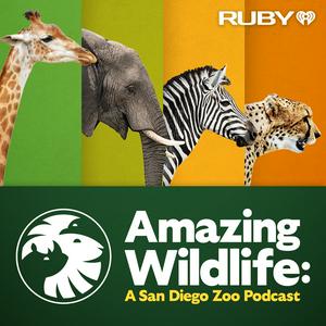 Listen to Amazing Wildlife: A San Diego Zoo Podcast in the App