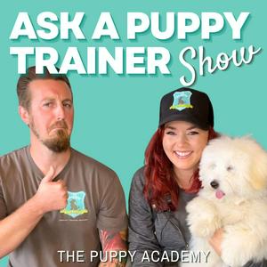 Ask A Puppy Trainer Show