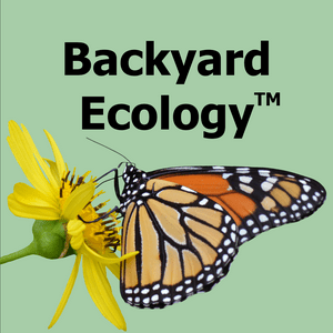 Listen to Backyard Ecology™ in the App