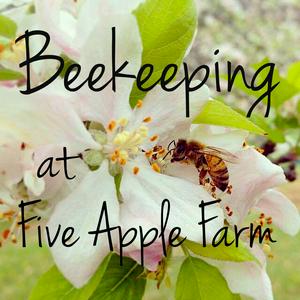 Listen to Beekeeping at FiveApple in the App