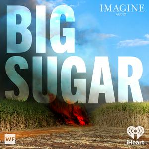 Listen to Imagine Audio: Big Sugar in the App