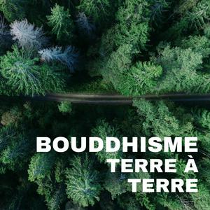 Listen to Bouddhisme terre à terre in the App