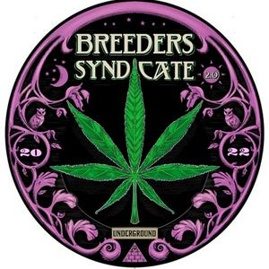 Breeders Syndicate 3.0