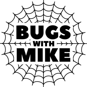 Bugs With Mike