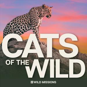 Listen to Cats of the Wild in the App