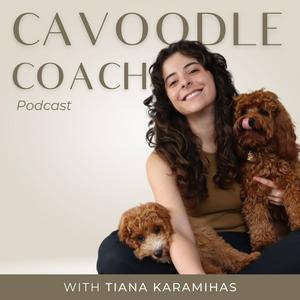 Listen to Cavoodle Coach Podcast in the App