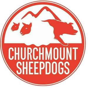 Listen to Churchmount Working Sheepdogs in the App