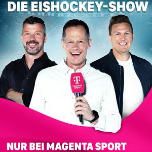 Die Eishockey Show