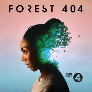 Listen to Forest 404 in the App