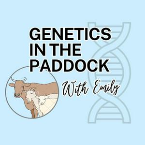 Listen to Genetics in the Paddock with Emily in the App