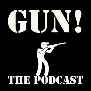 Gun