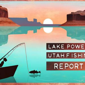 Lake Powell, Utah Fishing Report - Daily