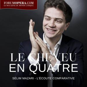 Le cheveu en quatre par Sélim Mazari