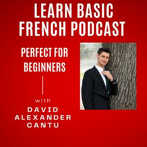 Listen to Learn Basic French Podcast in the App