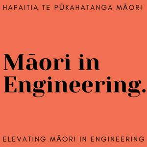 Māori in Engineering
