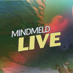 Mindmeld Live with Shell Protocol