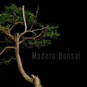 Listen to Modern Bonsai in the App