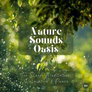 Listen to Nature Sounds Oasis | Relaxing Nature Sounds For Sleep, Meditation, Relaxation Or Focus | Sounds Of Nature | Sleep Sounds, Sleep Music, Meditation Sounds, Ocean Waves, Rain, White Noise & More in the App