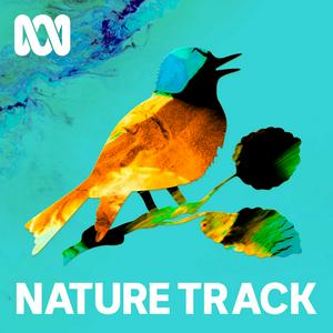 Listen to Nature Track in the App