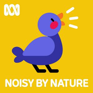 Listen to Noisy by Nature in the App