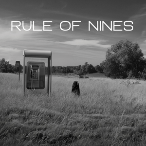 Rule of Nines