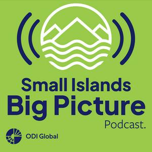 Small Islands Big Picture