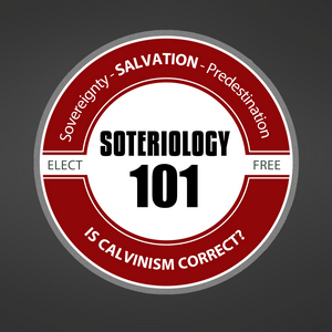 Listen to Soteriology 101 w/ Dr. Leighton Flowers in the App